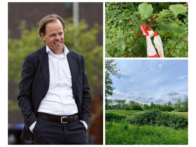 De eerste stappen zijn gezet - groenbehoud en placemaking