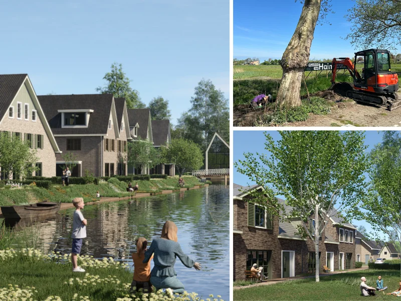 Platanen verhuizen, voorbelasting start: kom naar de inloopmiddag