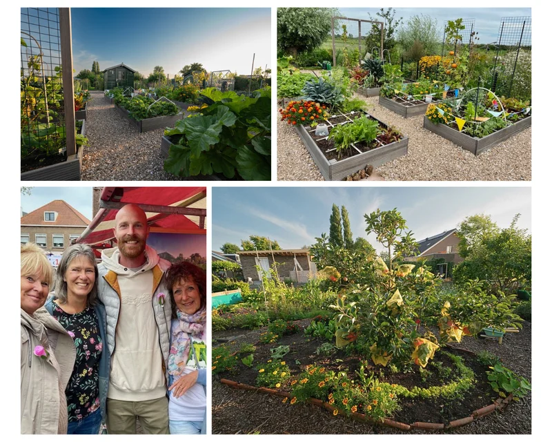 Moestuinieren: samen zaaien én oogsten