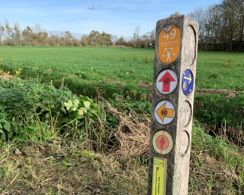 Wandelen in de natuur in je achtertuin