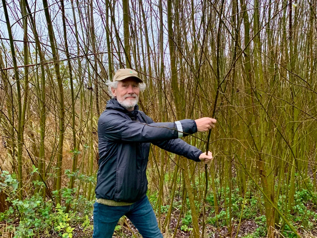 Meer Bomen Nu op de Eilanden van Hain: doe mee met de oogstdagen