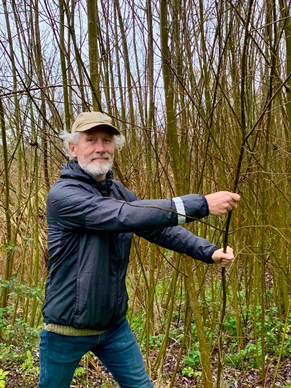 Meer Bomen Nu op de Eilanden van Hain: doe mee met de oogstdagen